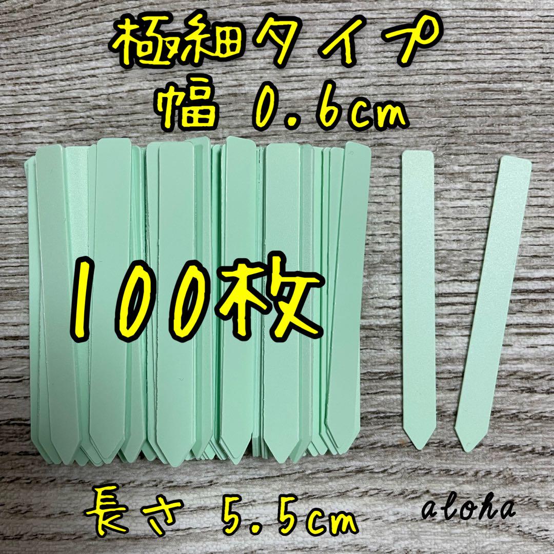 ブラック　100枚 多肉植物 アガベ サボテンに◎ 園芸用 ラベル ネームラベル ブラック 100枚 多肉植物 アガベ サボテンに◎ 園芸用 ラベル