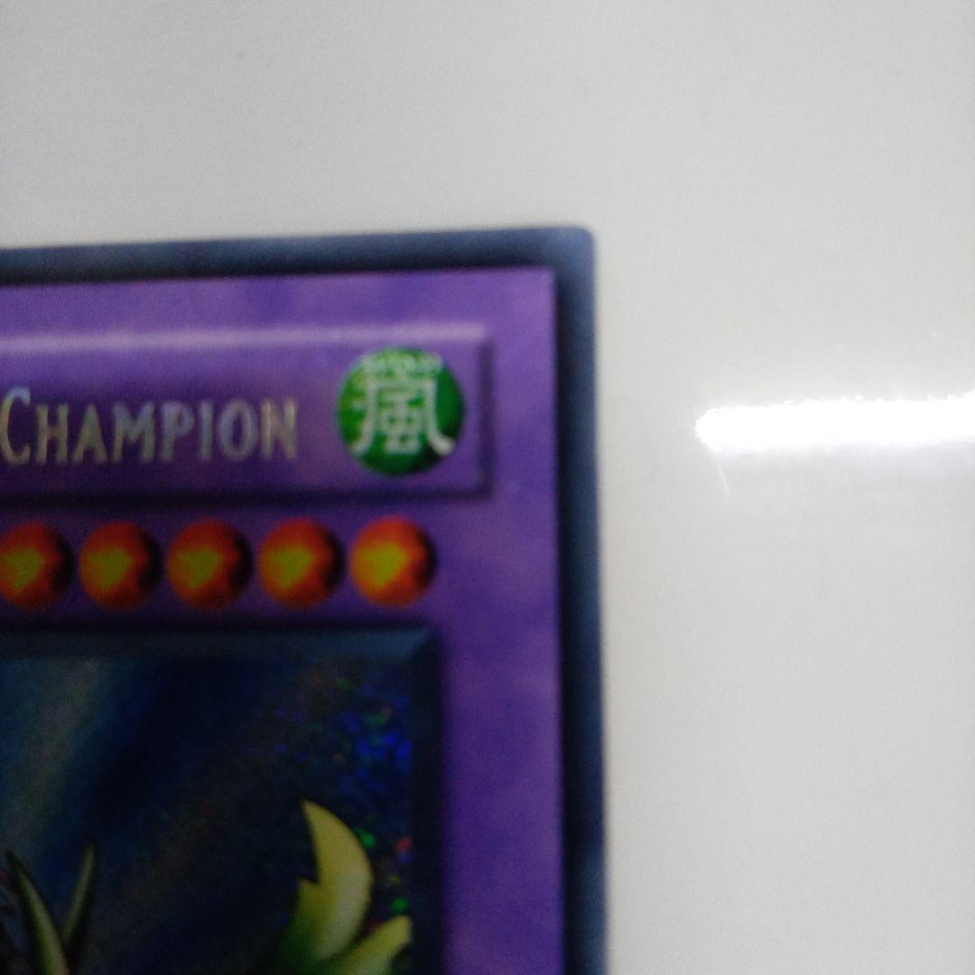 GAIATHE DRAGONCHAMPIONやや傷や汚れあり