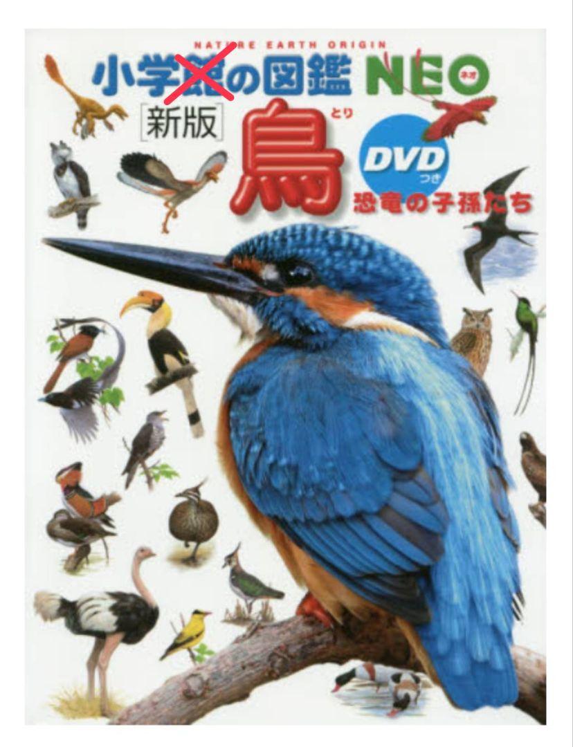 鳥 図鑑 小学館 鳥DVD