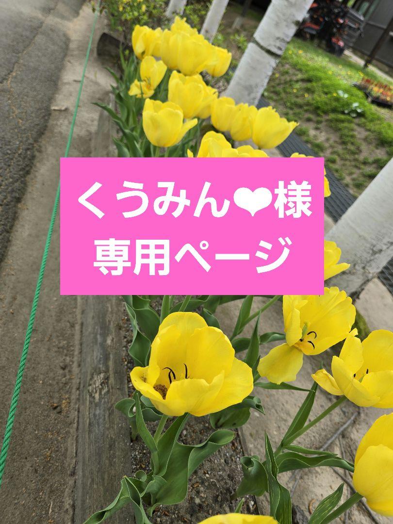 くうみん❤︎様専用