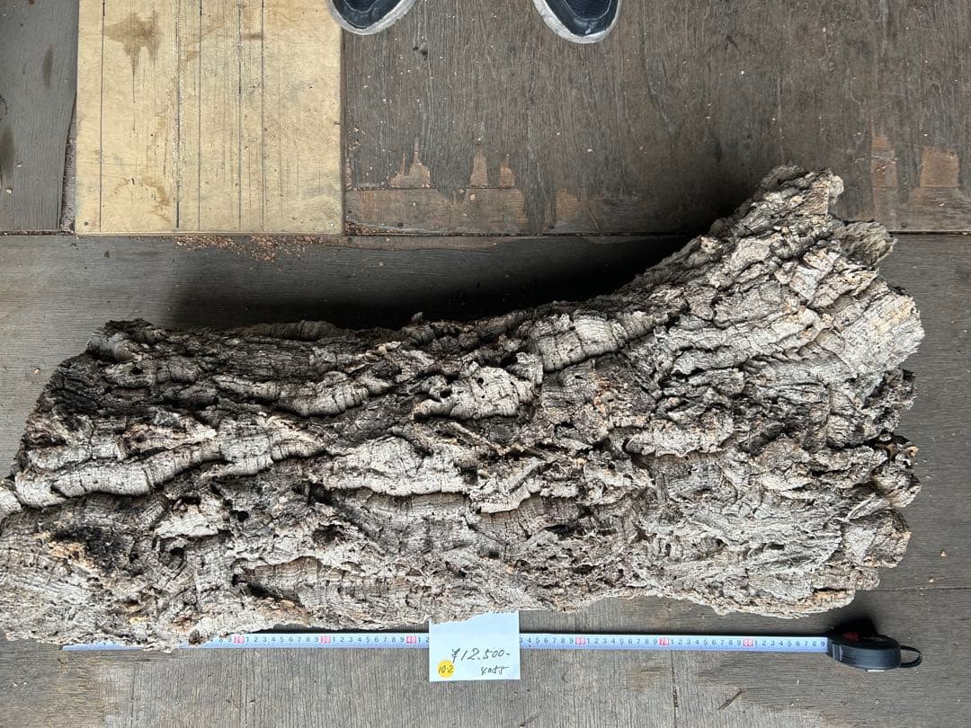 ポルトガル産コルク樹皮 ＰＬ-1002-103Ｌ ポルトガル産コルク樹皮 PL-1002-103L - メルカリ