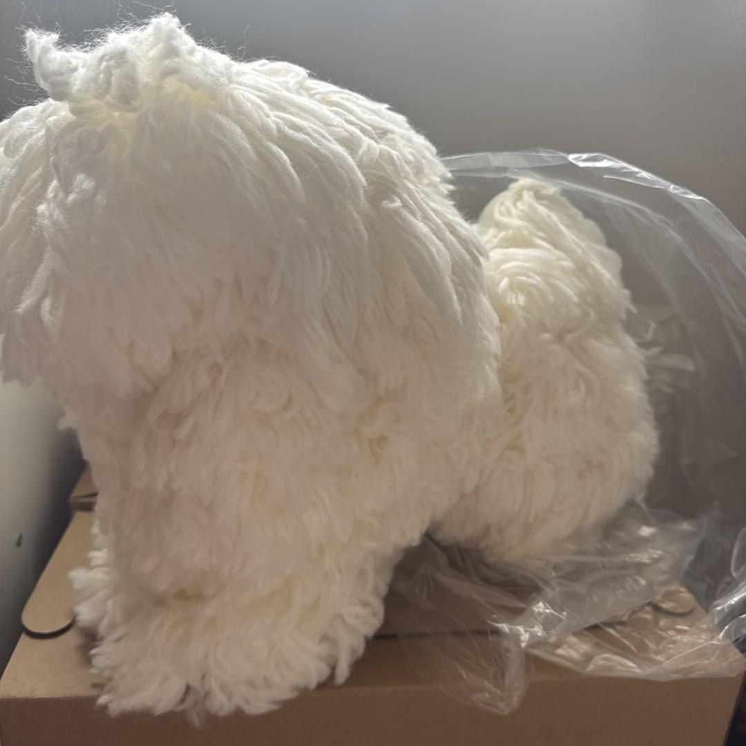 試験用カットモデル犬