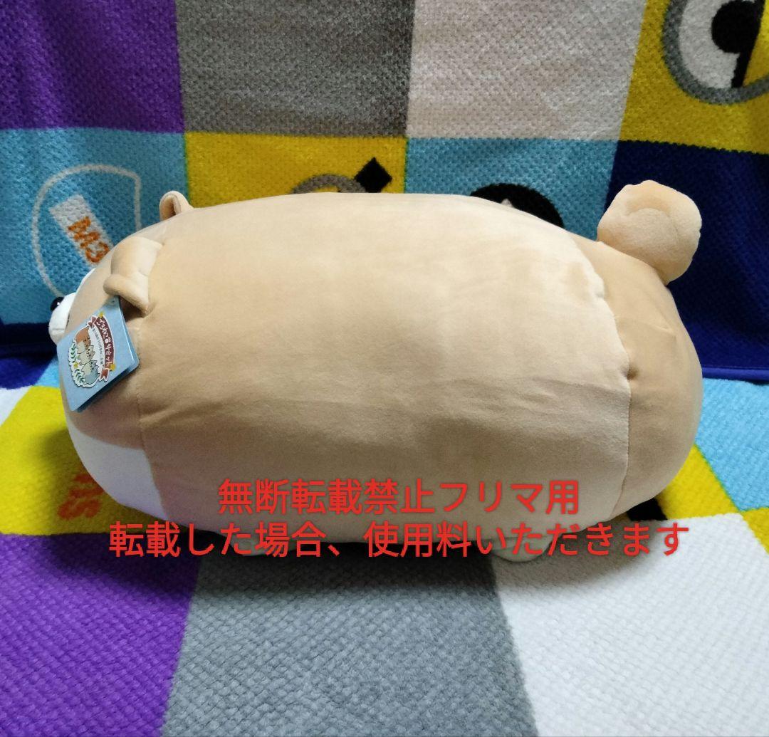 第14回おうち代表ねこ会議 ジャクソン