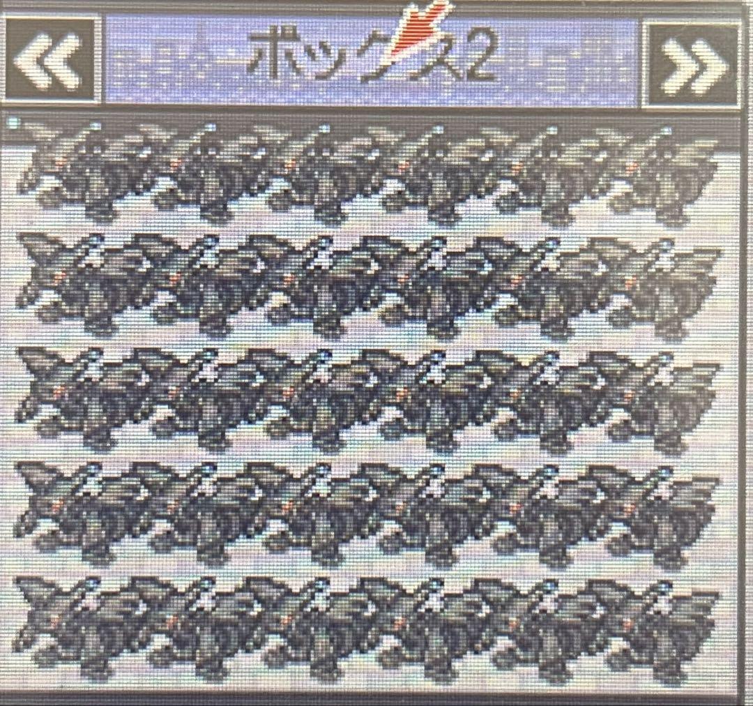 ポケットモンスターホワイト　配布ポケモン各30体ずつ