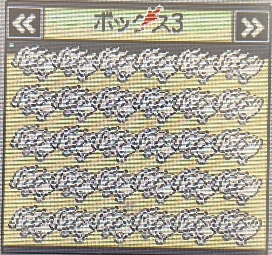 ポケットモンスターホワイト　配布ポケモン各30体ずつ