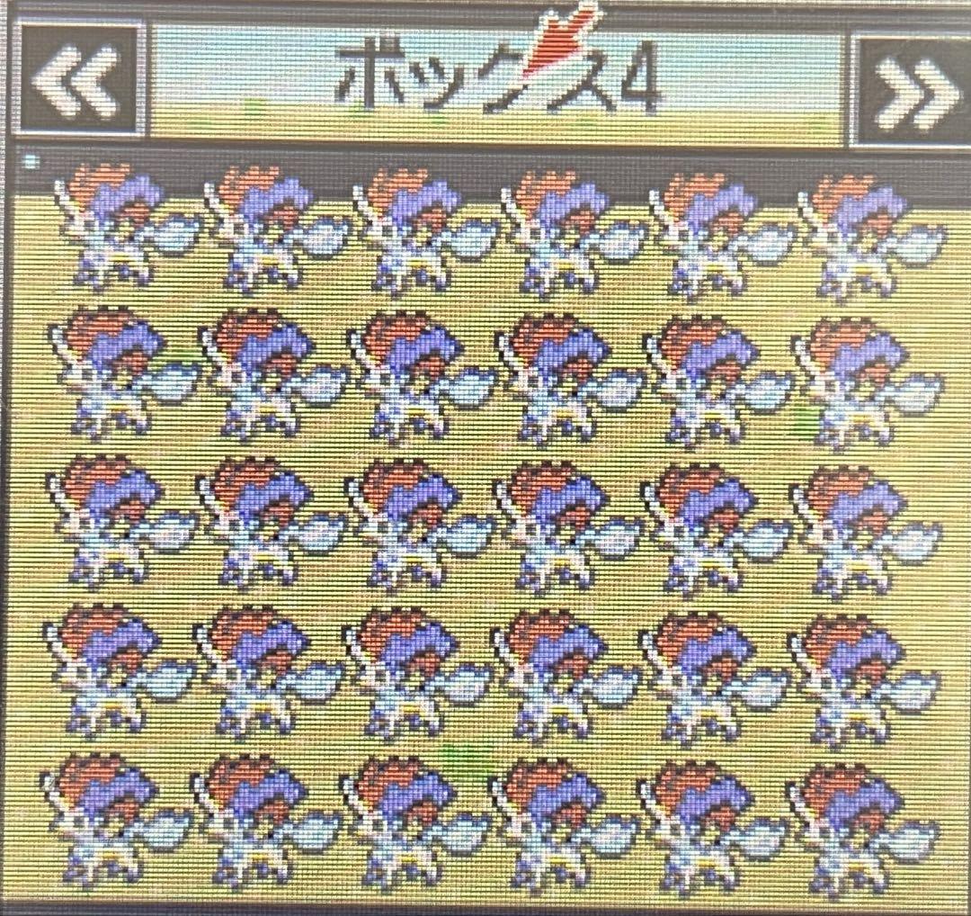 ポケットモンスターホワイト　配布ポケモン各30体ずつ
