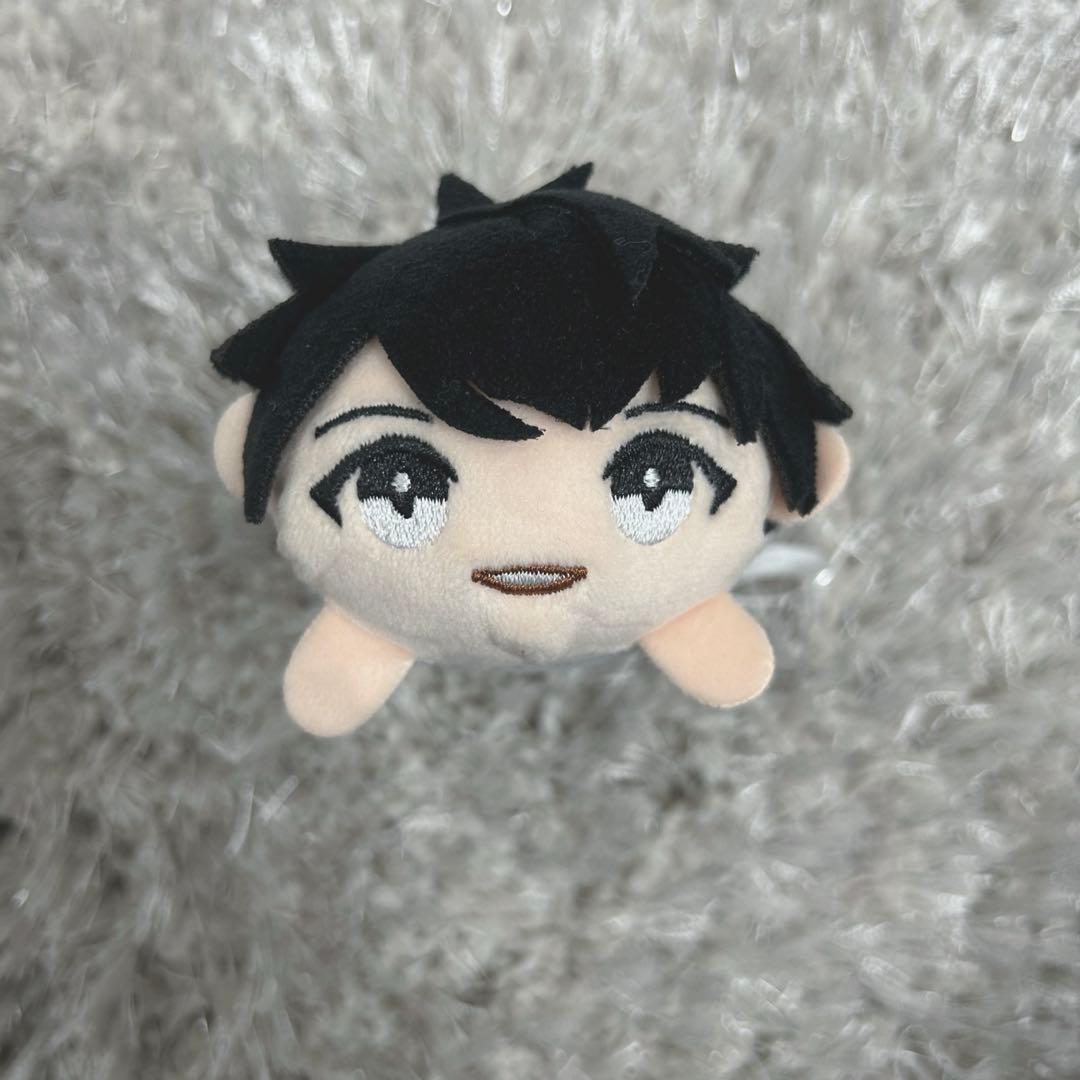 加藤大悟 oriGin ぬいぐるみ - メルカリ