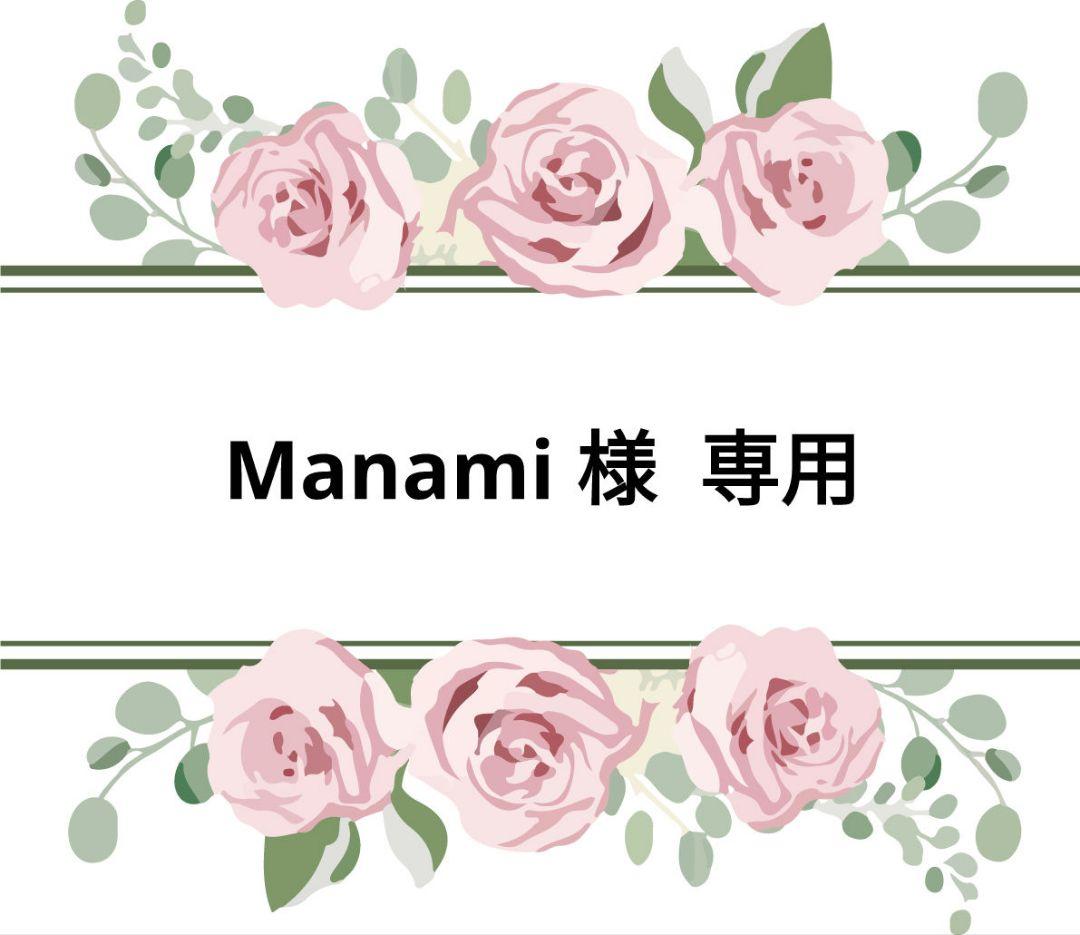トレペ平袋オーダー分