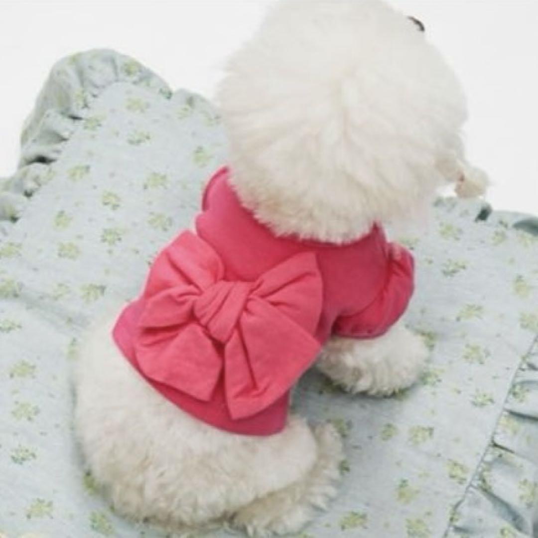Louisdog ルイスドッグ ビッグボウ MTM【全2色】 Louisdog ルイスドッグ ビッグボウ MTM - メルカリ