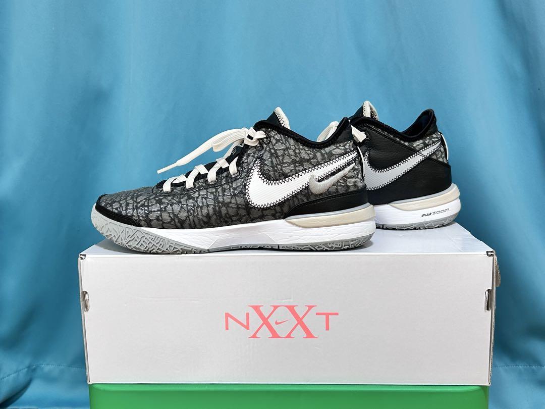 NIKE LEBRON NXXT Genナイキ レブロン　ネクストジェン26cm