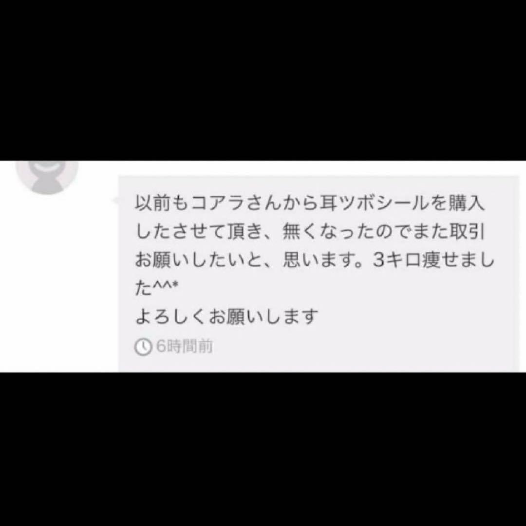 チタン1 00粒❣️カラーコピー説明書同封
