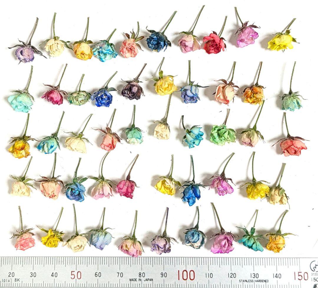 【訳あり】リトルウッズ ドライフラワー R-431 【訳あり】リトルウッズ ドライフラワー R-431