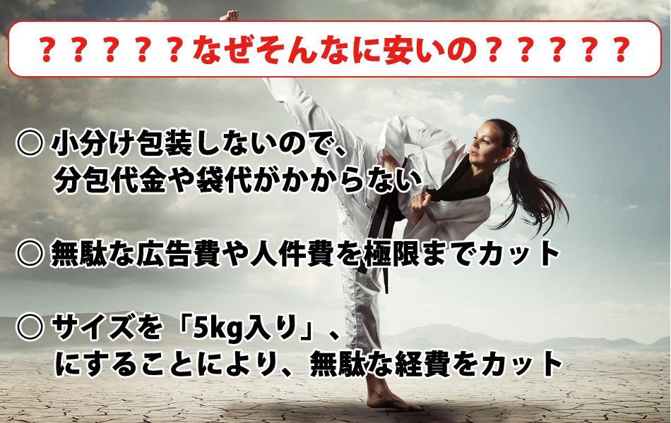 品質保証人気 バニラアイスクリーム風味のホエイプロテイン5kg 無添加 バニラ味 0wGgn-m31008157747 新品 国産 超激安定番