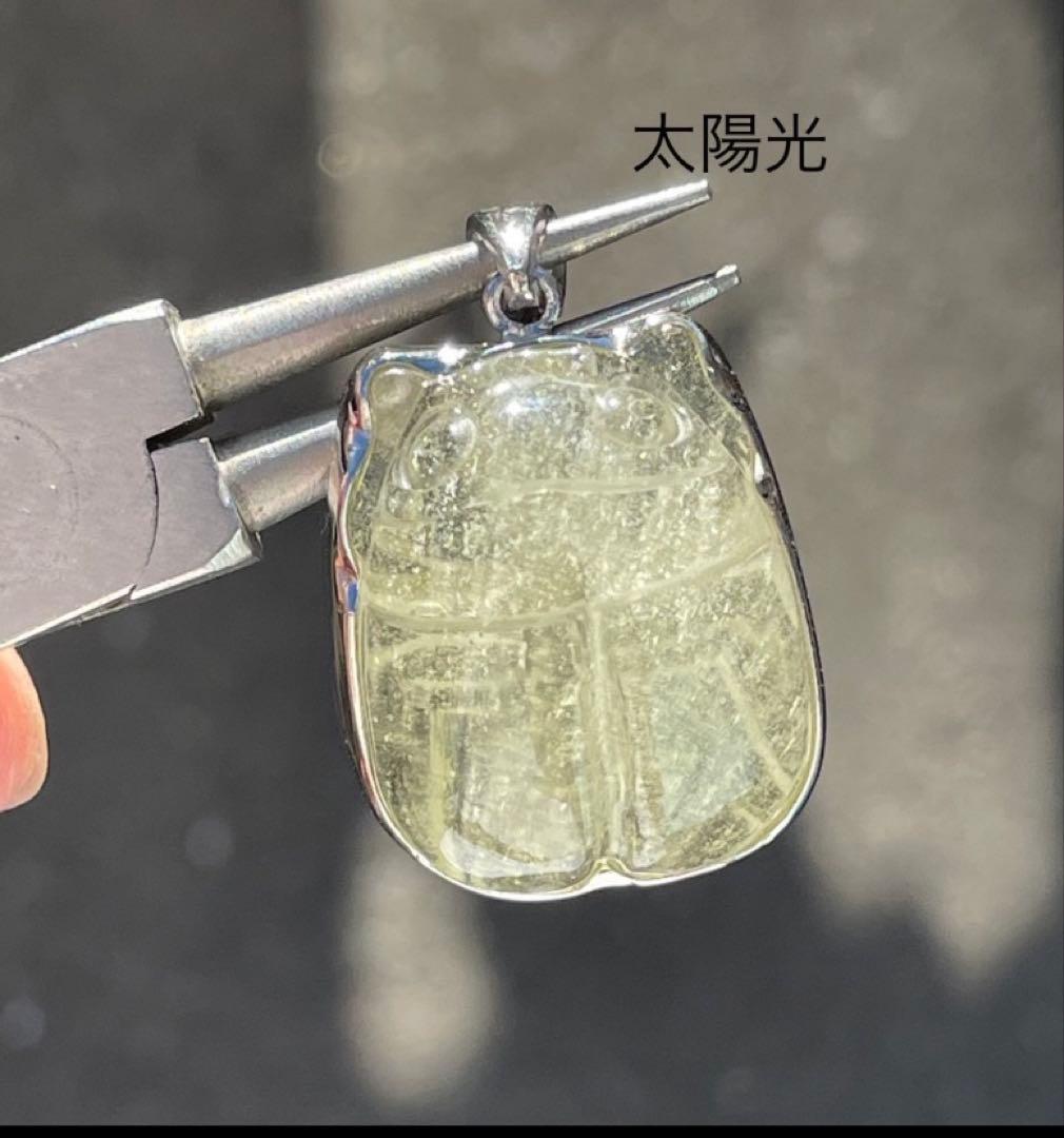 ペンダント甲虫