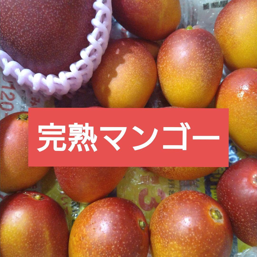 2完熟マンゴー