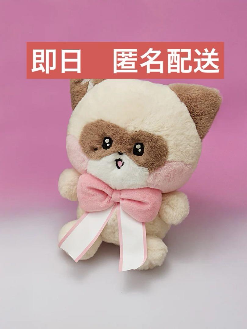ZEROBASEONE zeroni ハニニ　PLUSH リボン