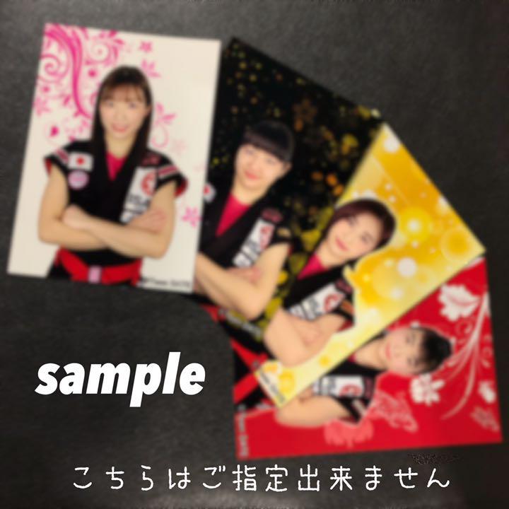 【3枚セット】Team DATE武術四姉妹キーホルダー&ポートレート