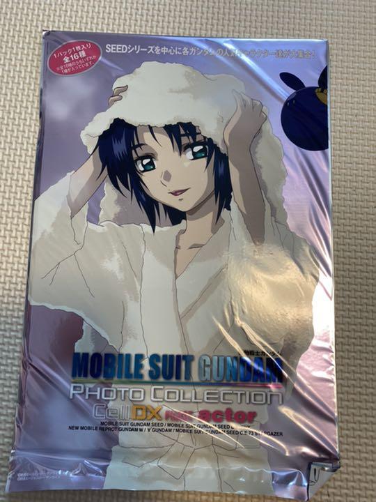 ガンダムSEED DESTINY フォトコレクションDX PHASE-actor