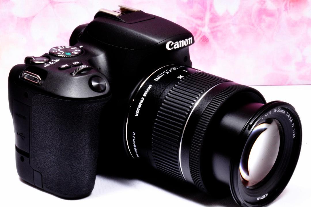 Canon EOS Kiss X9実写レビュー！現役カメラマンが大人気カメラ