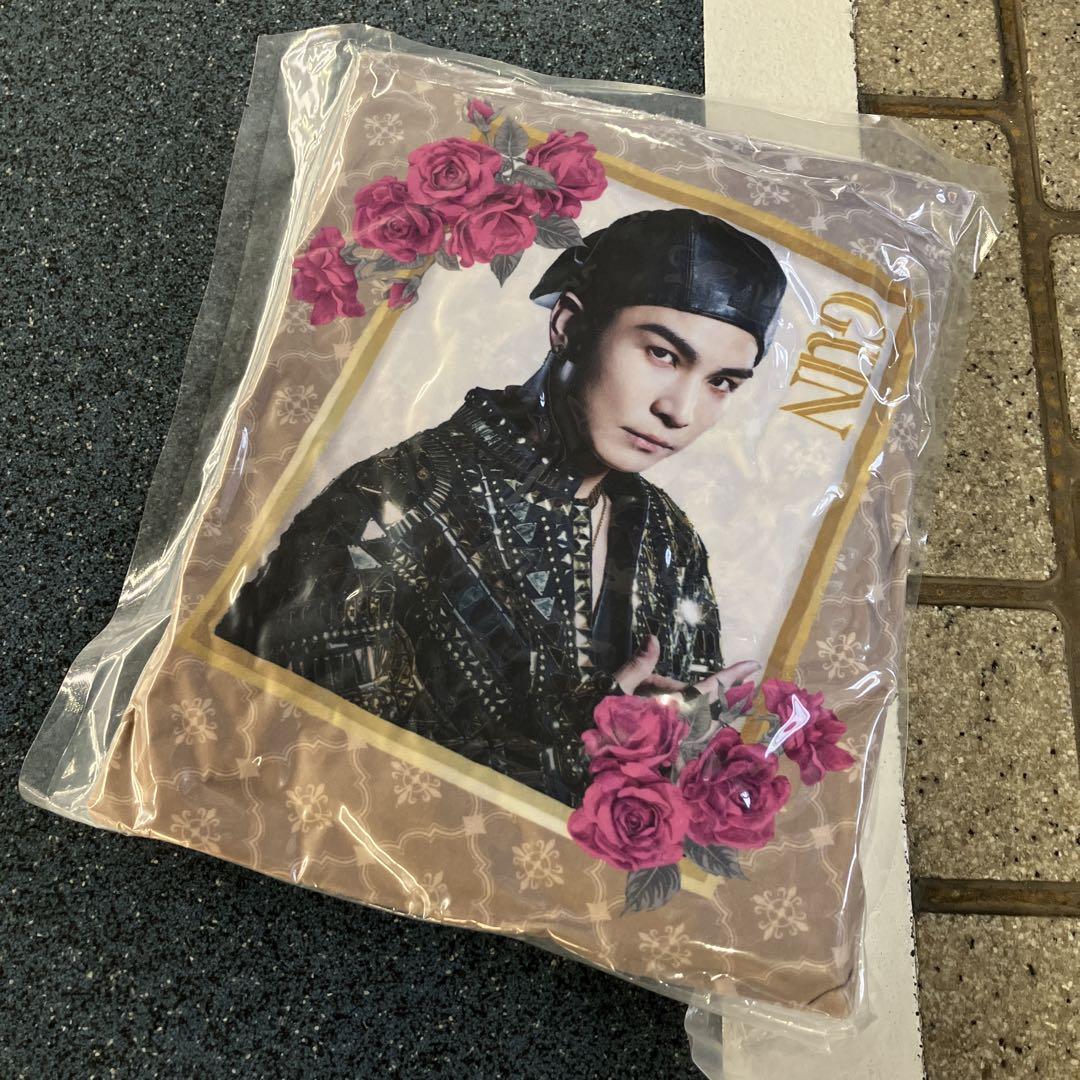 ★ 即購入⭕️ 三代目 岩田剛典クッション 第二弾 ！