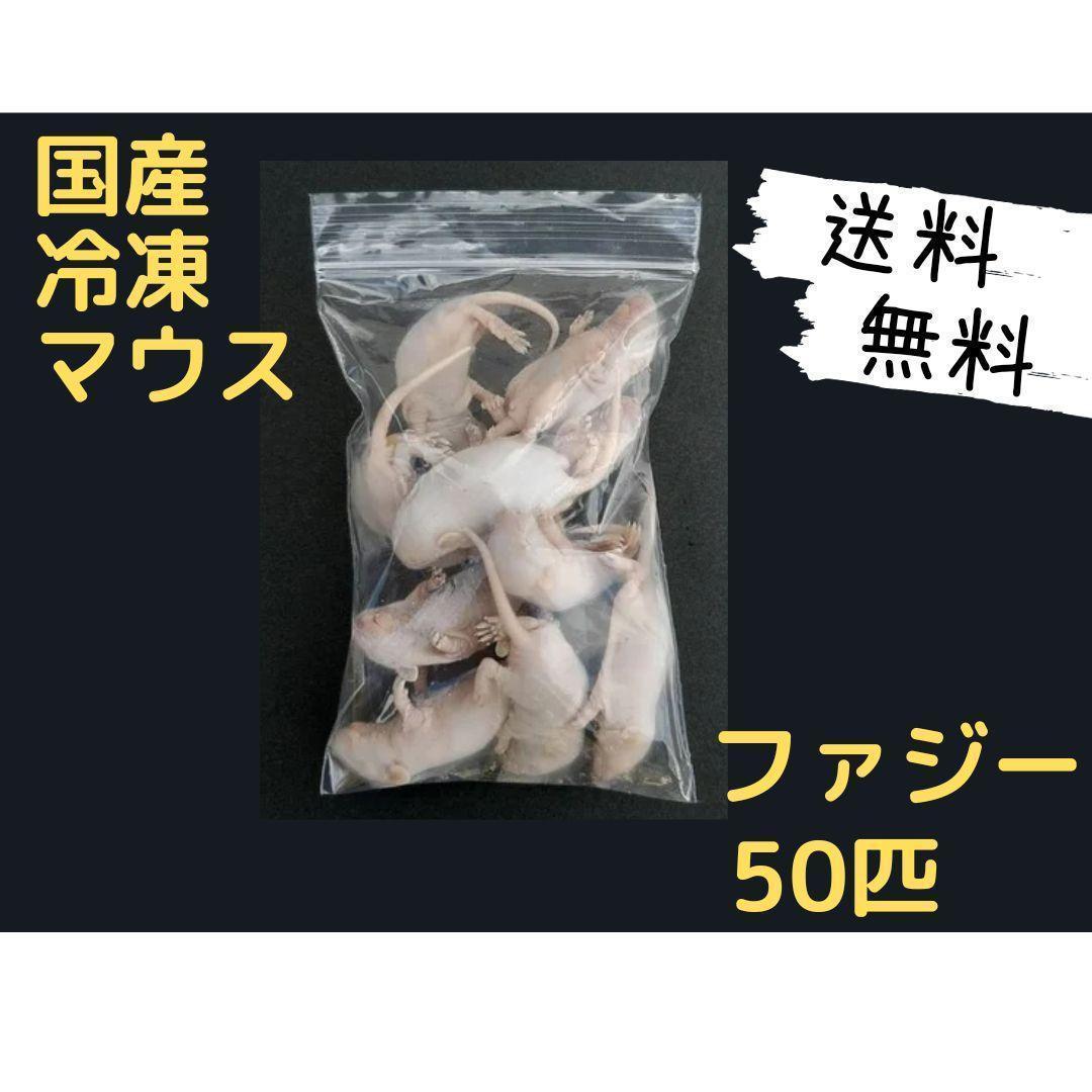人気ブランド新作豊富 国産冷凍マウス (一部地域発送不可) 50匹 ファジー 爬虫類・両生類のエサ