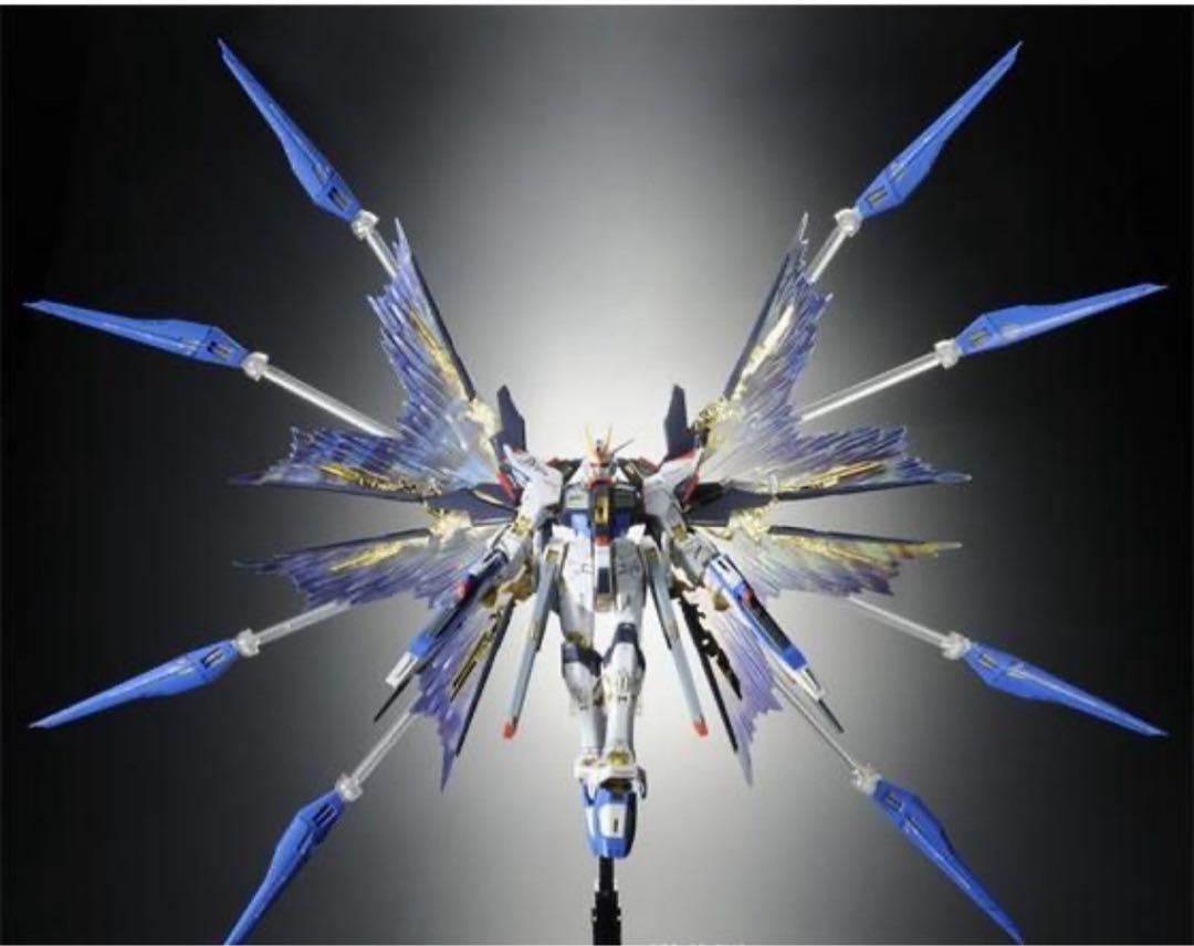 RG ストライクフリーダムガンダム(チタニウムフィニッシュ)& 天空の翼