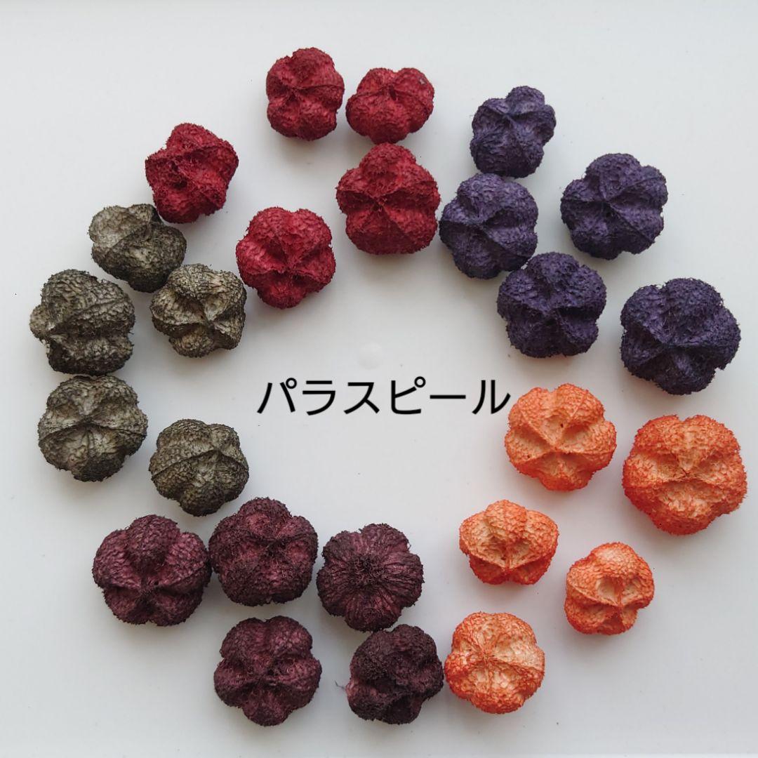 no.21930 パラスピール オータムカラー 木の実 花材セット