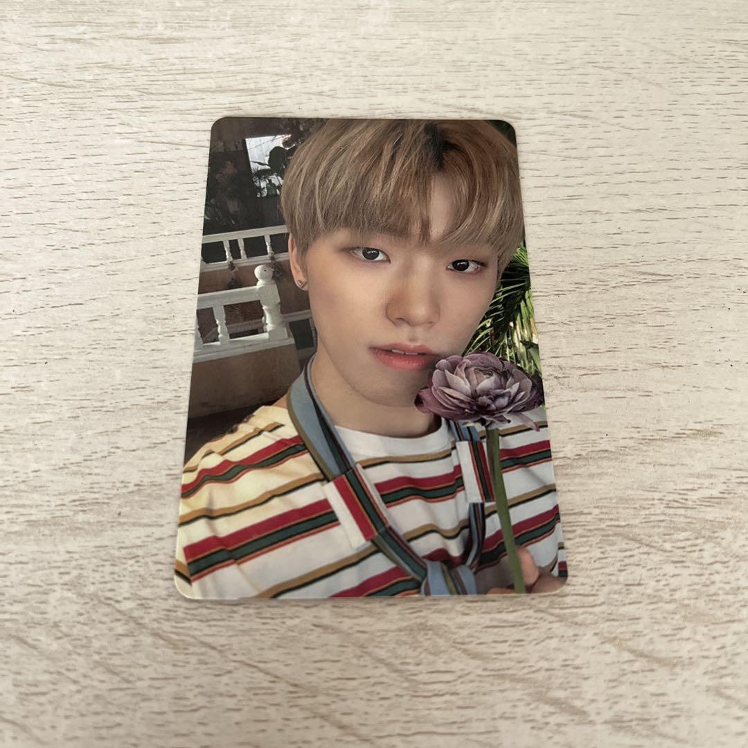 SEVENTEEN セブチ ディノ トレカセット まとめ売り｜Yahoo
