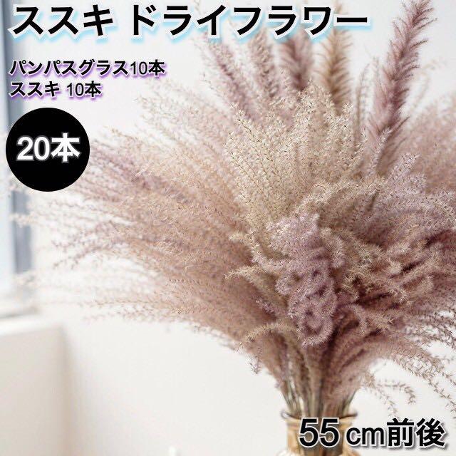 パンパスグラス　20本セット　超お得！ パンパスグラス＊10pcs(ドライフラワー)Off White：80cm | MeROOM