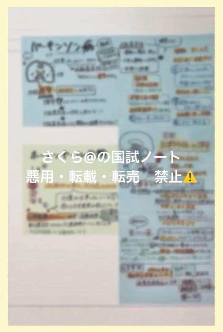 看護【国試対策ノート】【基礎】+【病態】A4サイズ余白あり！勉強・暗記に大活躍！ 看護【国試対策ノート】【病態】A4サイズ余白あり！！勉強・暗記