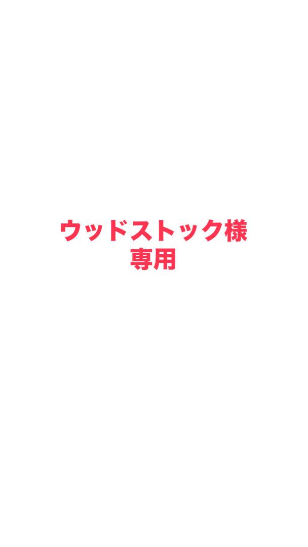 【ウッドストック様専用タカラスタンダードホーローパネル】