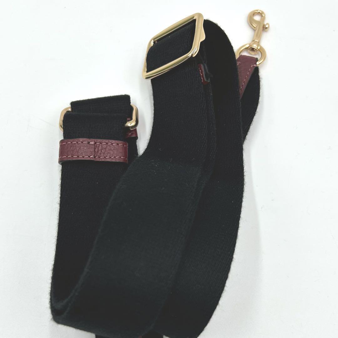 ⭐︎極美品 コーチ 2635 ミニデンプシー クロスボディ