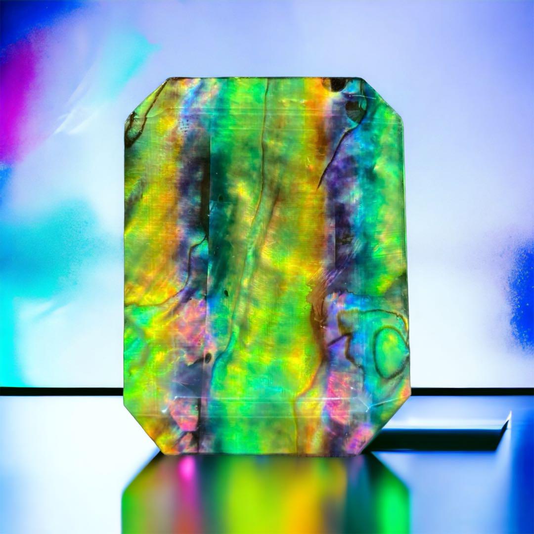 78.00ct 天然化石