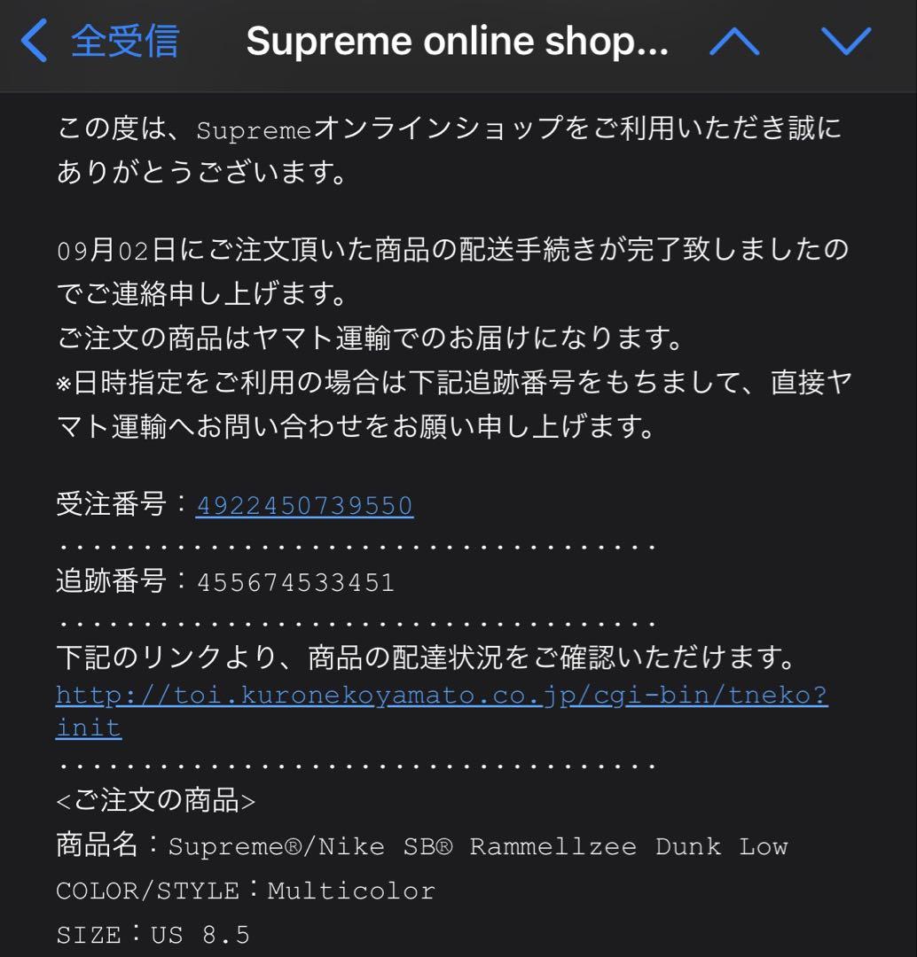 Supreme × NIKE SB DUNK LOW Rammellzee