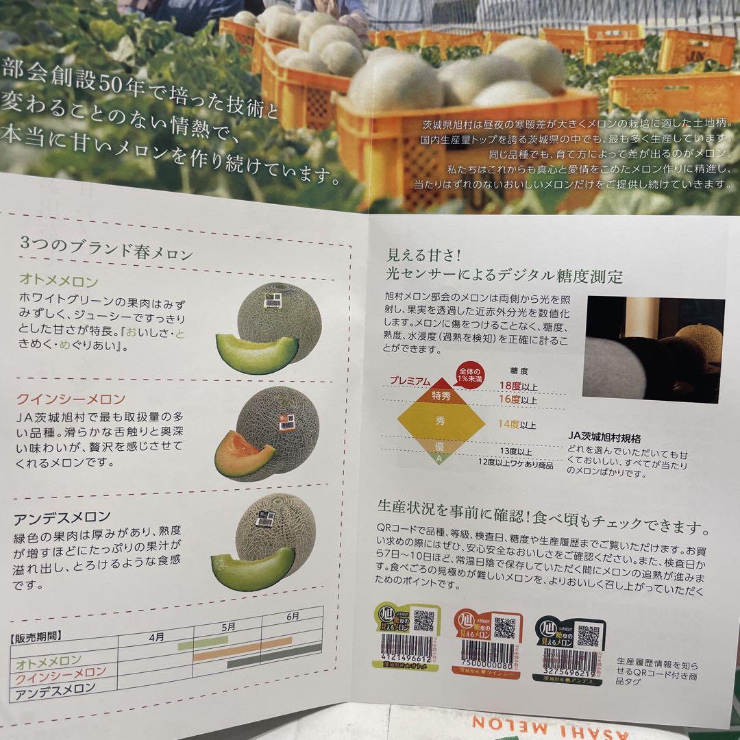 kw3糖度18度以上！茨城県旭村産エルソルメロン極4Lサイズ1箱3玉入り kw3糖度18度以上！茨城県旭村産エルソルメロン極4Lサイズ1箱3玉