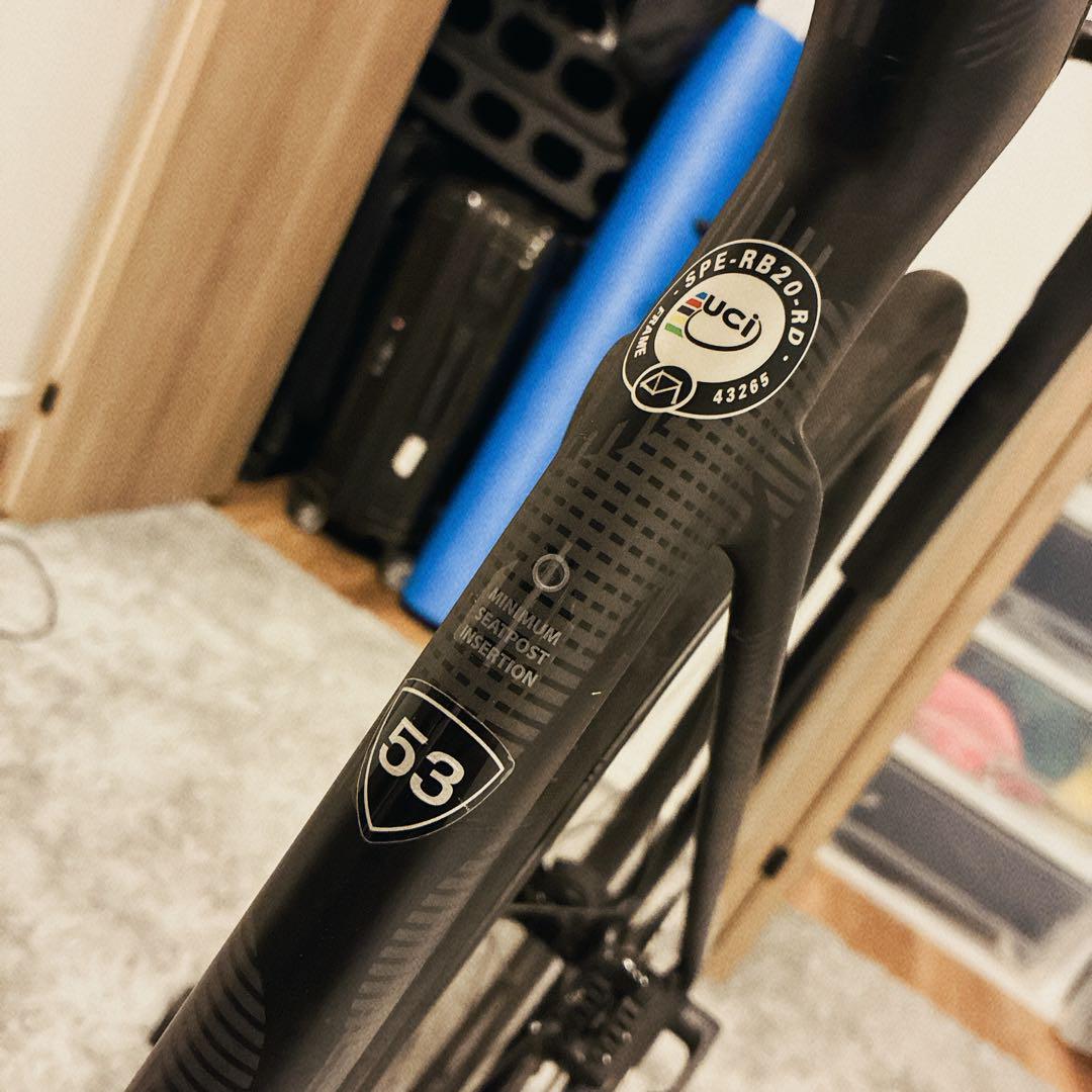 SPECIALIZED S-WORKS チームフレーム2019 S-Works Tarmac SL8 Team Frameset: SD Worx - Protime