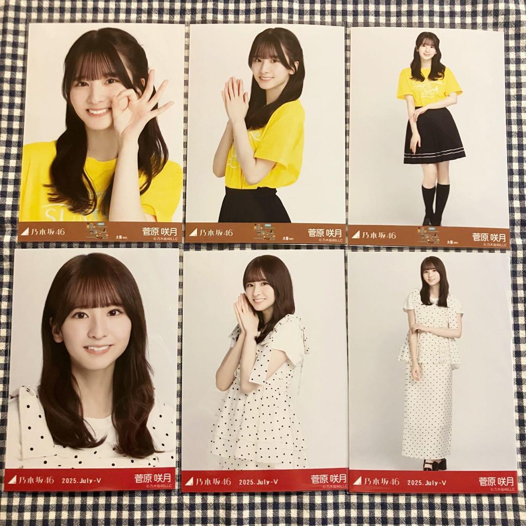 乃木坂46 菅原咲月 全ツ2025 大阪 Ｔシャツ 、ドット 生写真 コンプ