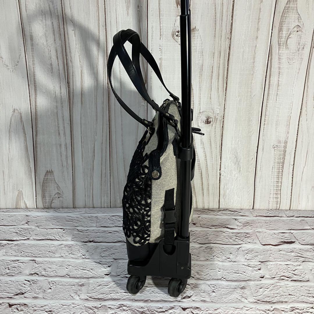 SWANY スワニー 近沢レース キャリーバッグ コンパクトサイズ 美品
