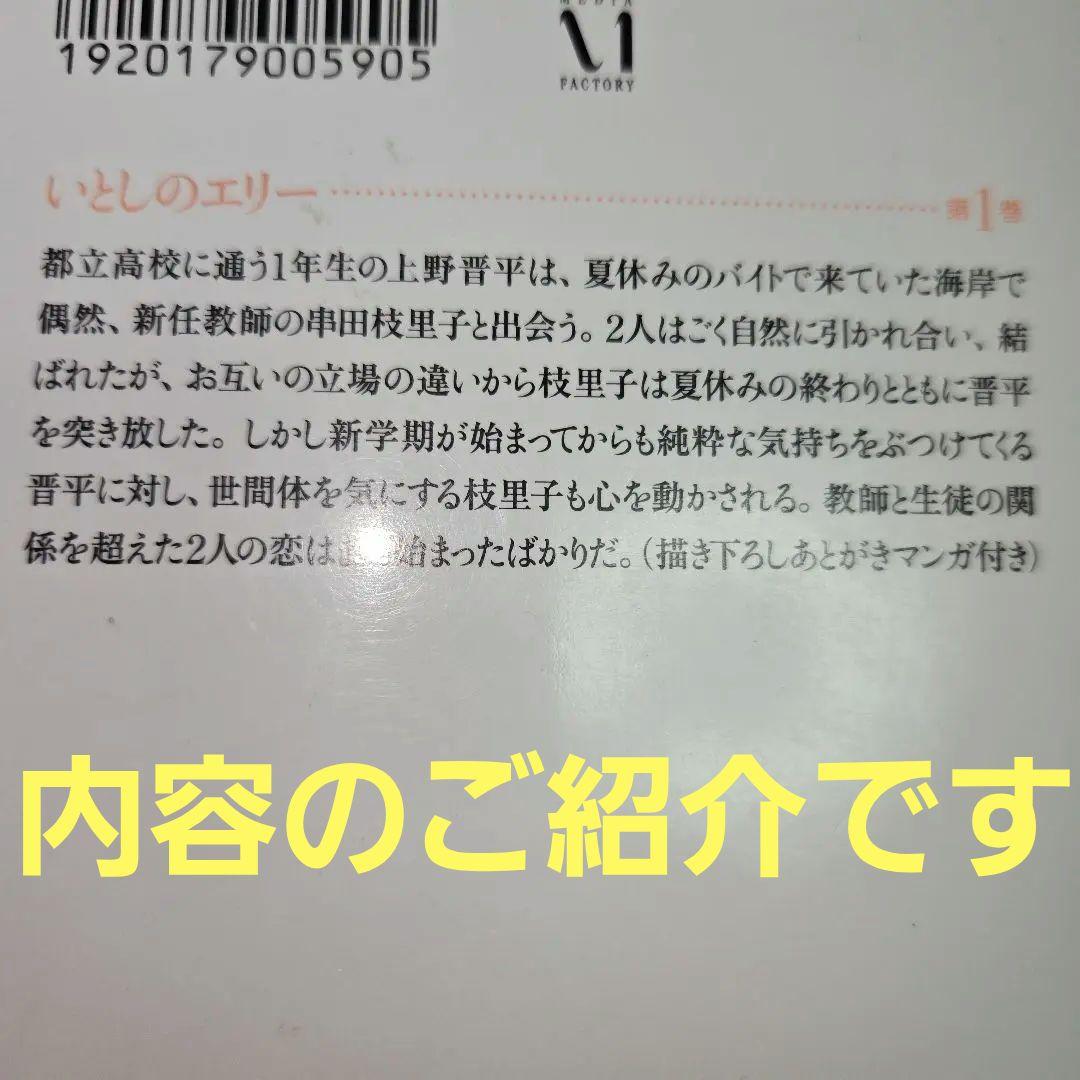 いとしのエリー　全10巻　禁断の恋愛まんが【文庫版】高見まこ　除菌済　文庫 いとしのエリー 全10巻 禁断の恋愛まんが【文庫版】高見まこ 除