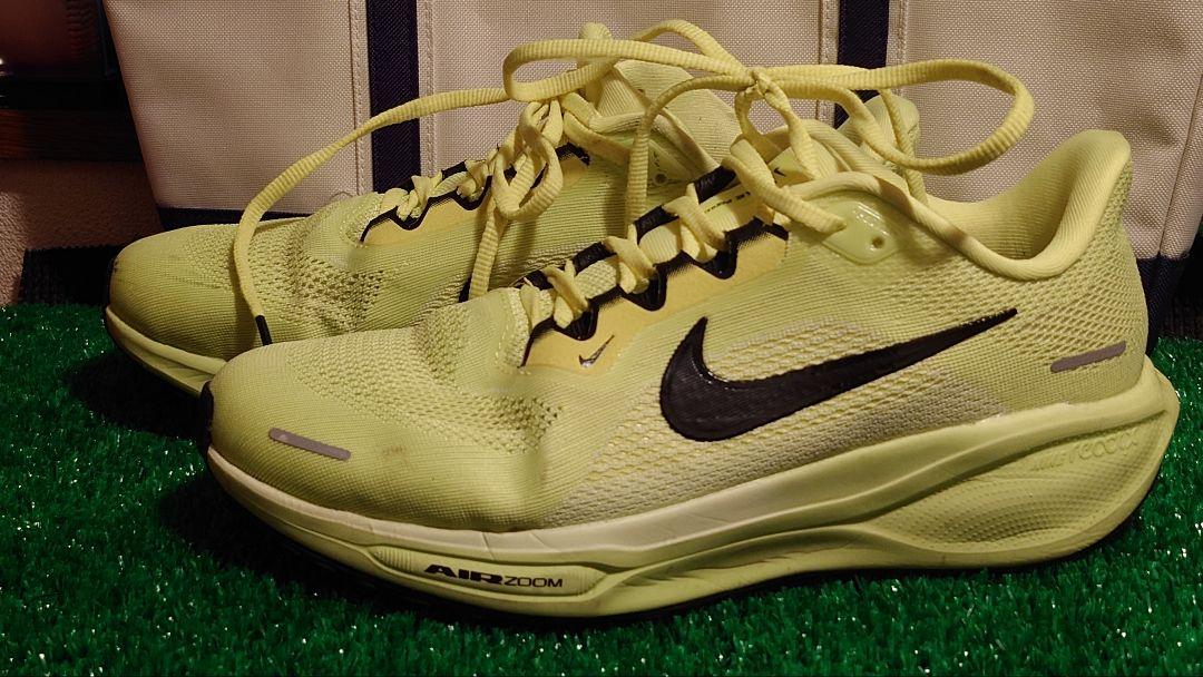 NIKE　ペガサス41【走行距離40km程度】 【25.5cm】ボルトカラー