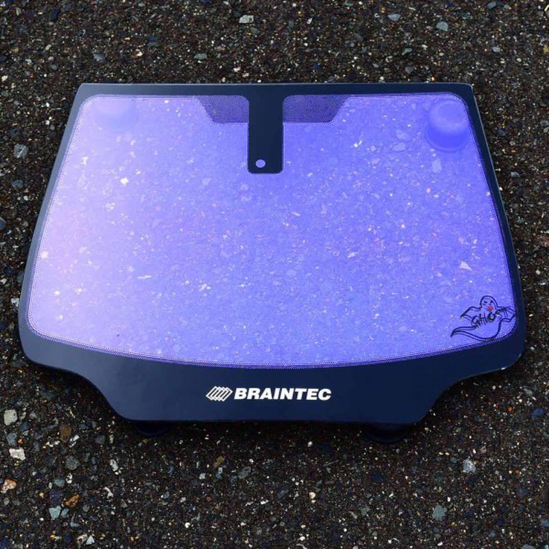 ブレインテック　ピュアゴースト　ML91　3ｍ