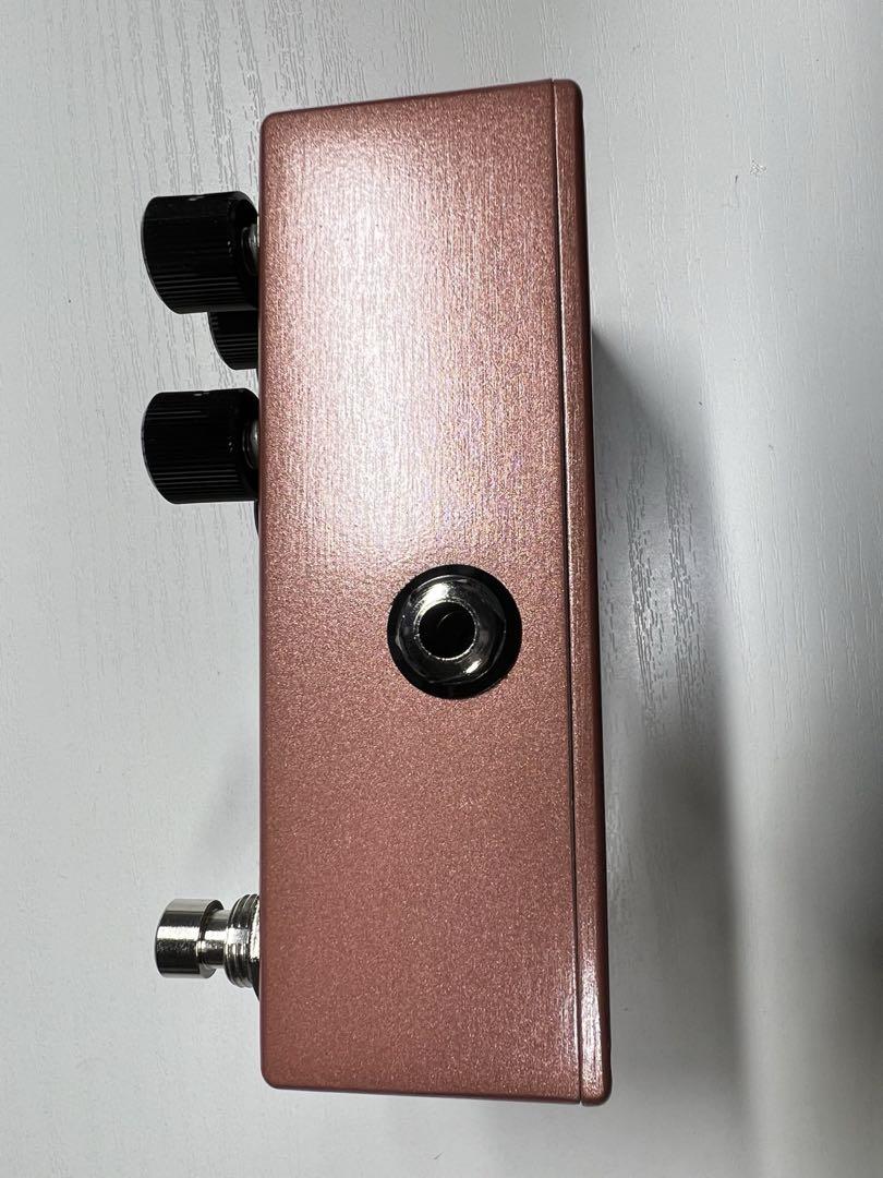 ギター Walrus Audio Monument  V2