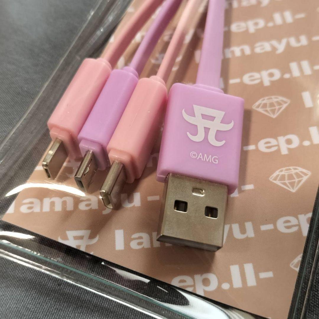 ［新品］浜崎あゆみ 3in1 USBケーブル　2種セット 浜崎あゆみ 新品 未使用 3in1ケーブル ayupan 2025 最終値下