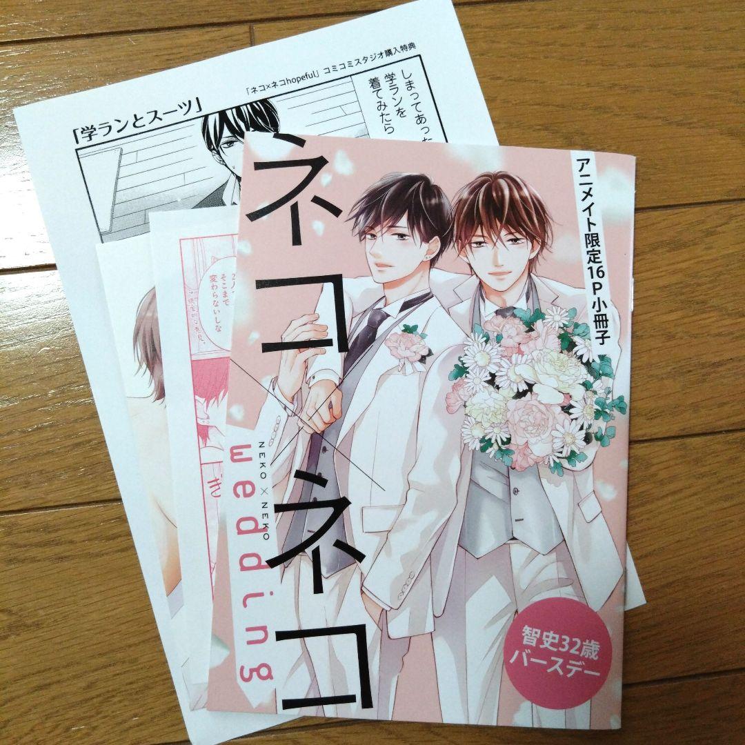 【オープニング 大放出セール】 たつもとみお ネコ×ネコ 特典付き コミック全巻セット 商業BL 女性漫画