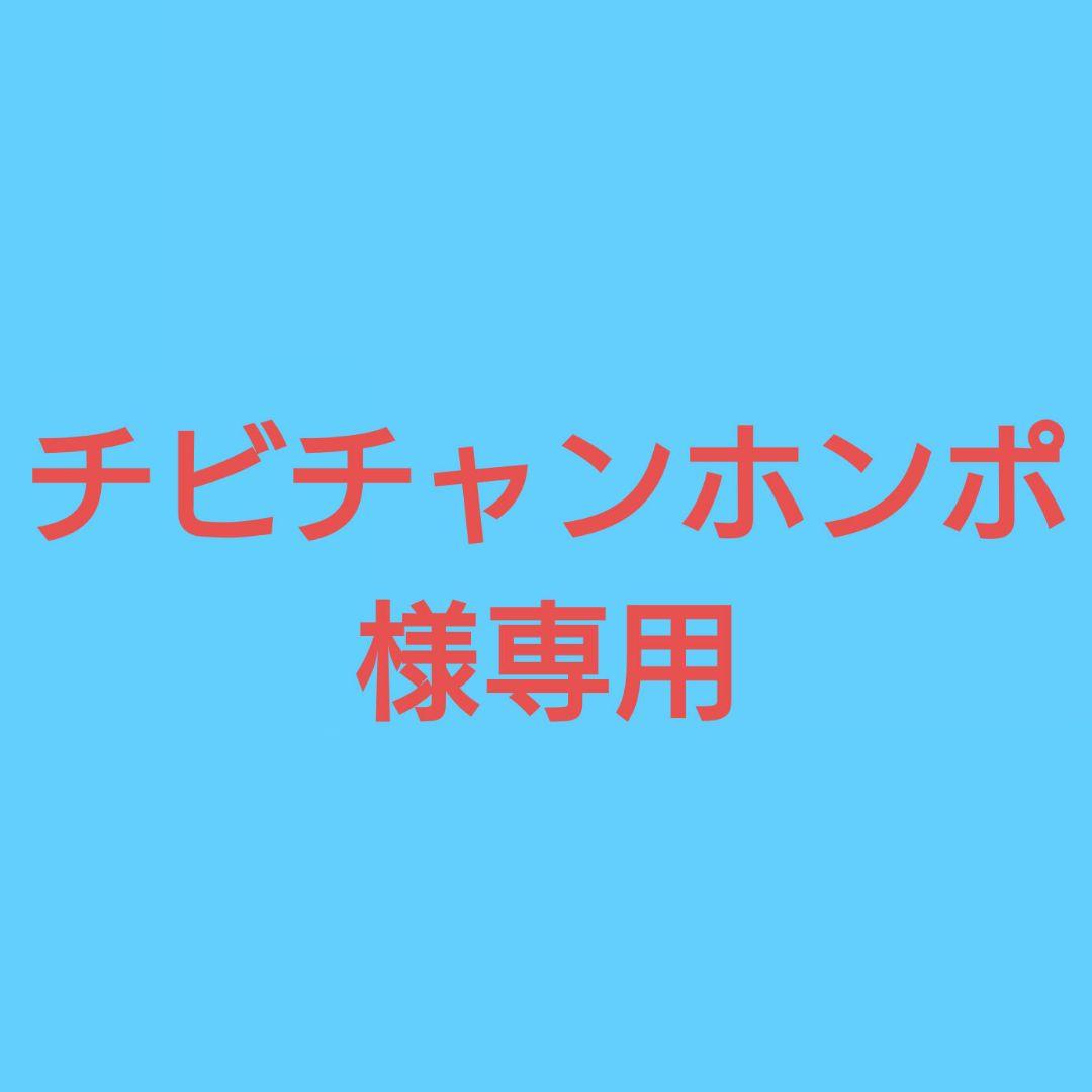 ☆(ちょこいぬ様専用！)雷水晶(レムリアンシード) ポイント④⑧