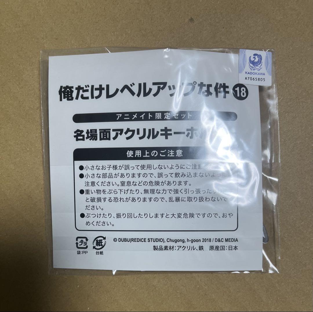 俺だけレベルアップな件　18巻　アニメイト限定 アクリルキーホルダー　水篠旬