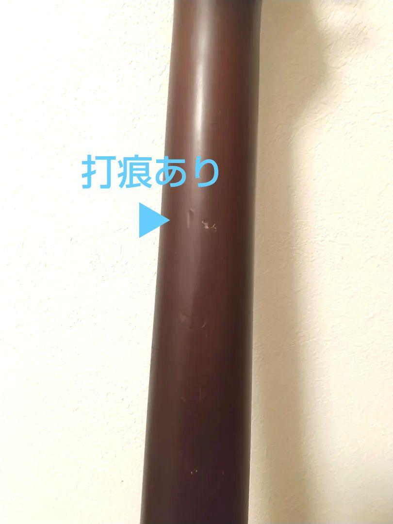 BUSKERS 最新 standard 訳あり ローステッド638mmスケール