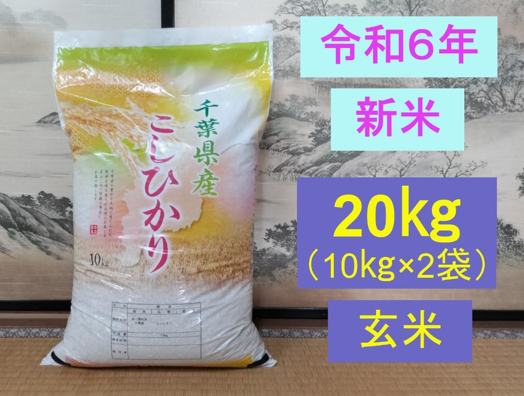 令和6年　新米　千葉県産コシヒカリ　玄米20キロ　農家直送　減農薬