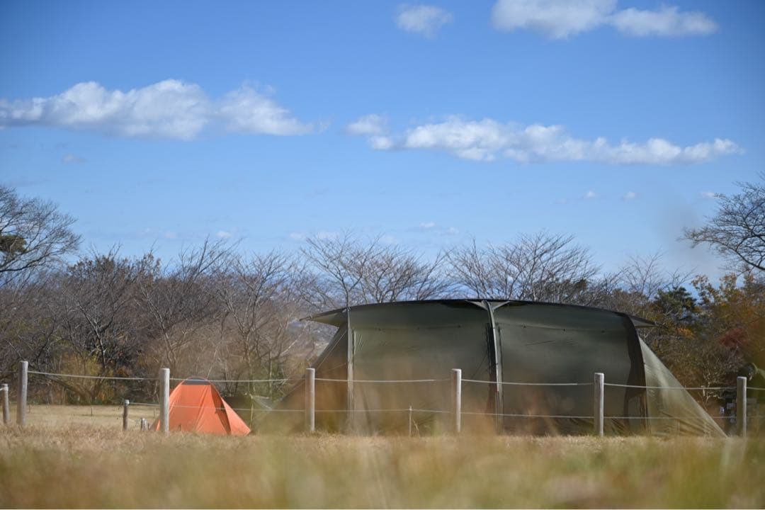 ミニマルワークス V HOUSE L VハウスL オリーブMINIMAL WORKS