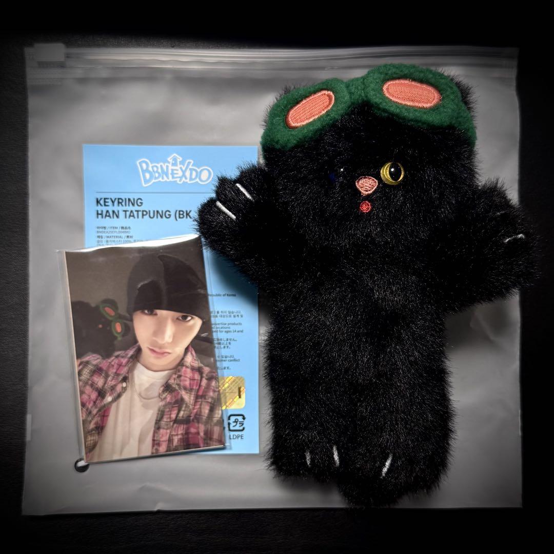 【未使用/トレカ付】BOYNEXTDOOR テサン キーリング ぬいぐるみ 未使用/トレカ付】BOYNEXTDOOR テサン キーリング ぬいぐるみ